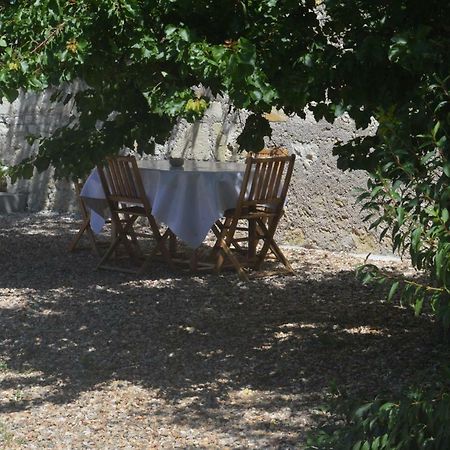 Gite Dans Le Vignoble De Bourgueil Le Port Boulet Dış mekan fotoğraf