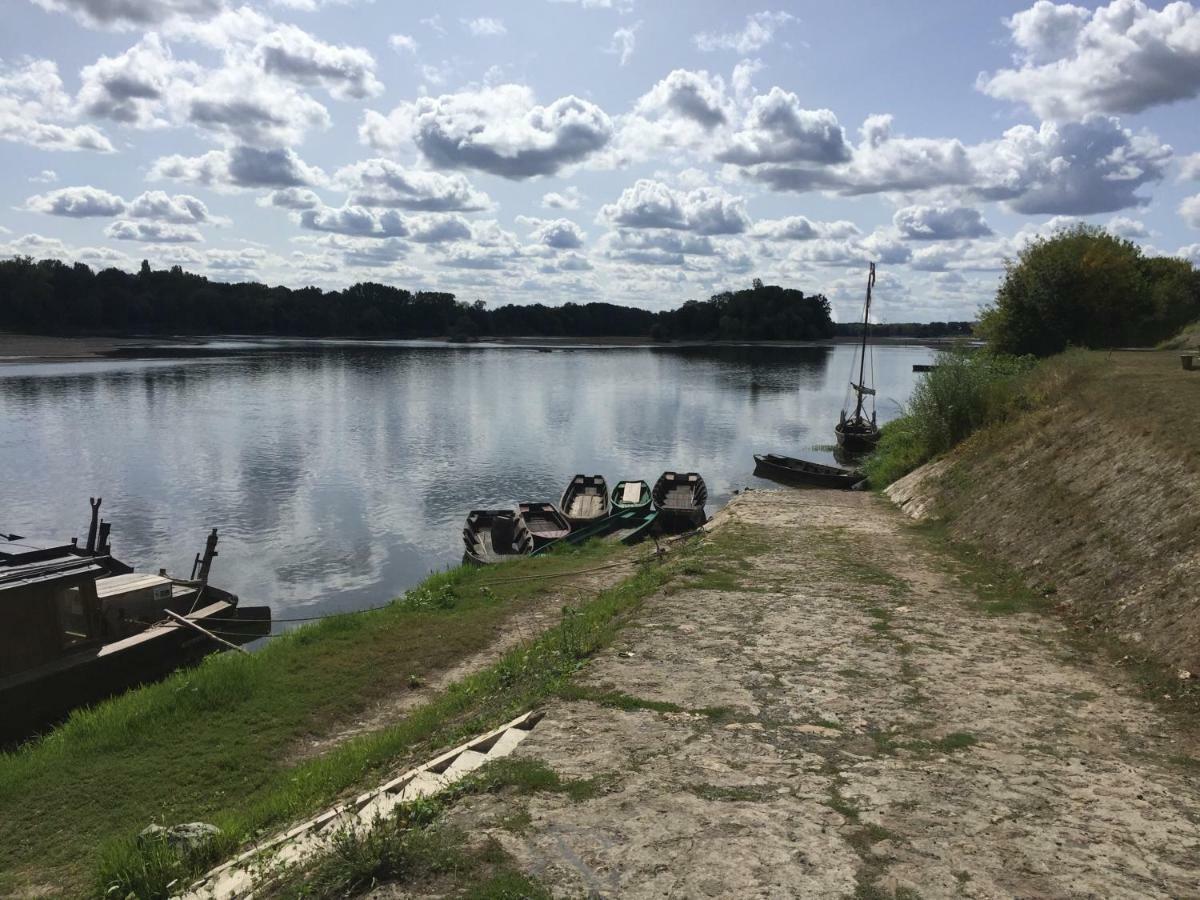 Gite Dans Le Vignoble De Bourgueil Le Port Boulet Dış mekan fotoğraf