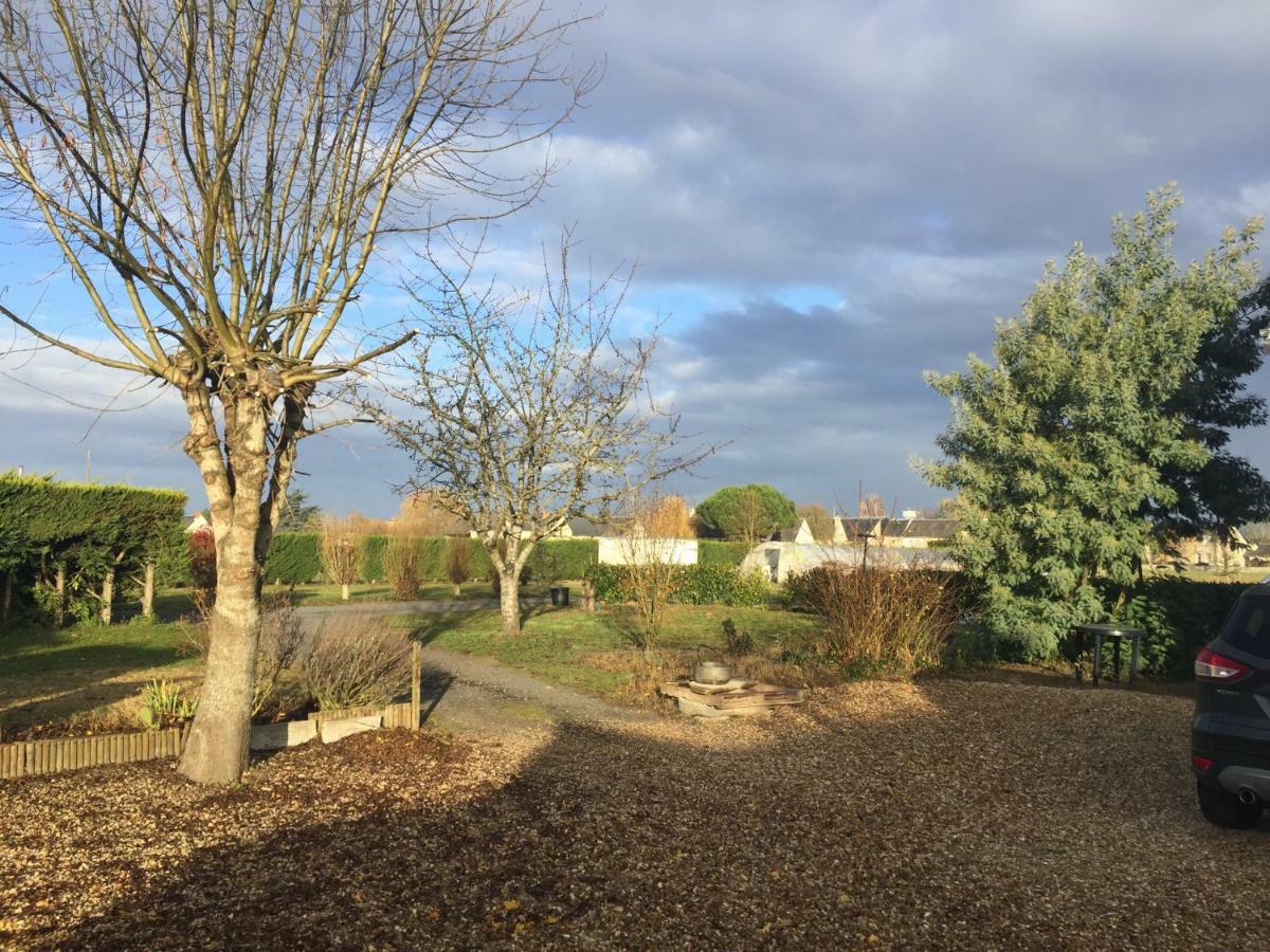 Gite Dans Le Vignoble De Bourgueil Le Port Boulet Dış mekan fotoğraf