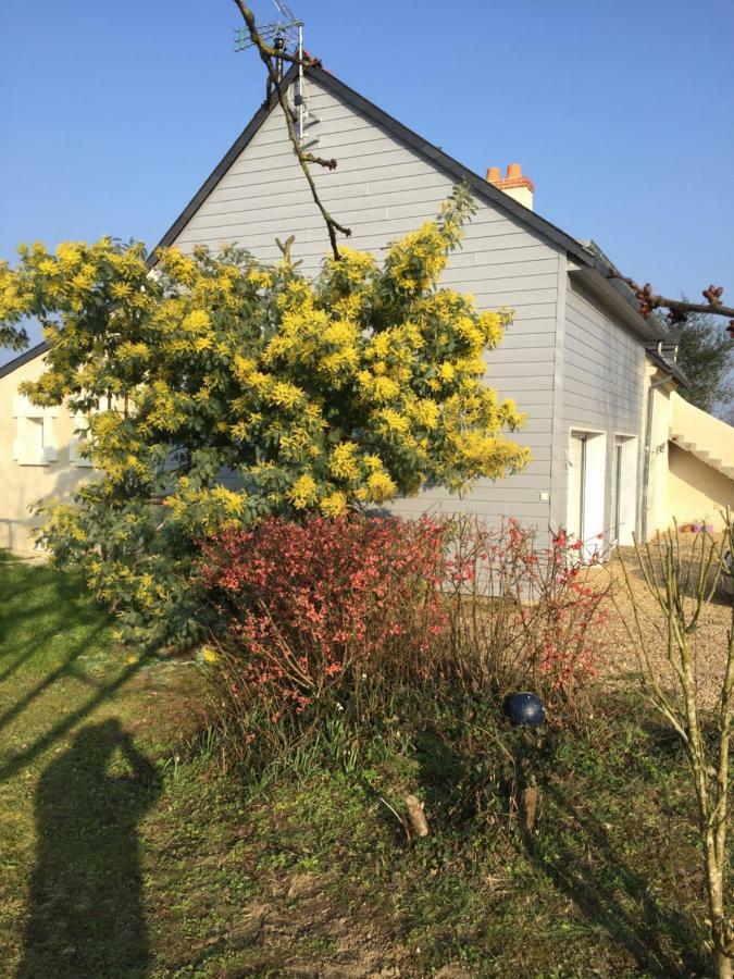 Gite Dans Le Vignoble De Bourgueil Le Port Boulet Dış mekan fotoğraf